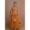 Yellow Anarkali & Jacket set