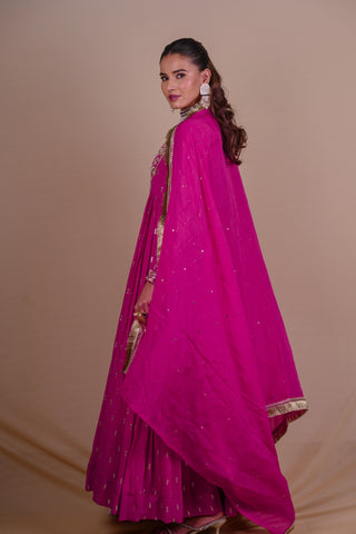 Rani Pink Anarkali set